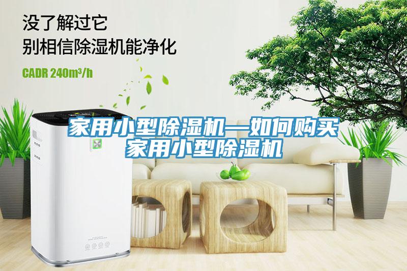 家用小型草莓视频91污—如何購買家用小型草莓视频91污