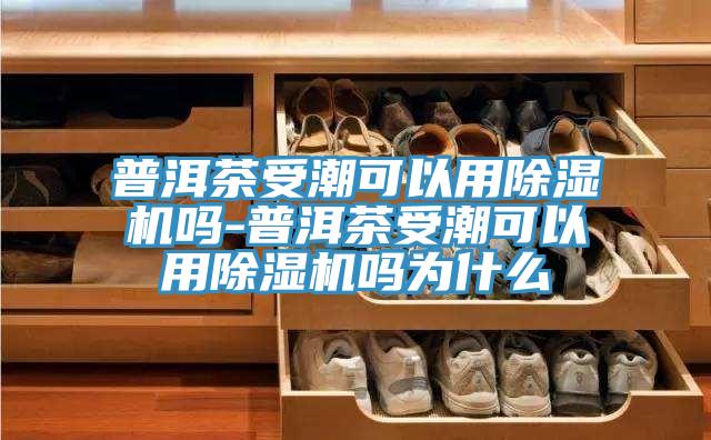 普洱茶受潮可以用草莓视频91污嗎-普洱茶受潮可以用草莓视频91污嗎為什麽